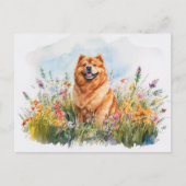 Chow Chow - Briefkaart (Voorkant)