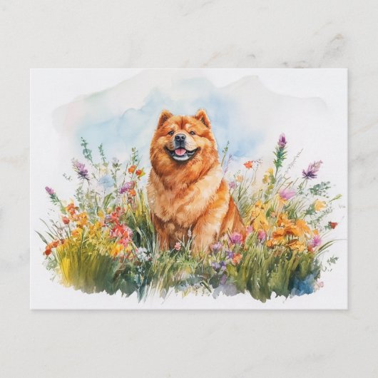 Chow Chow - Briefkaart (Voorkant)