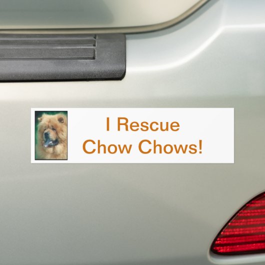 Chow Chow Bumpersticker (Op auto)