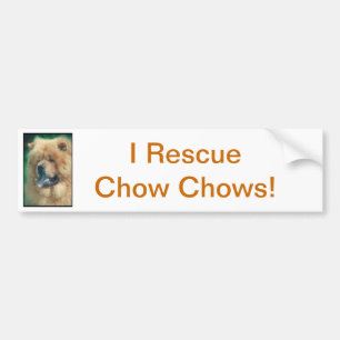 Chow Chow Bumpersticker