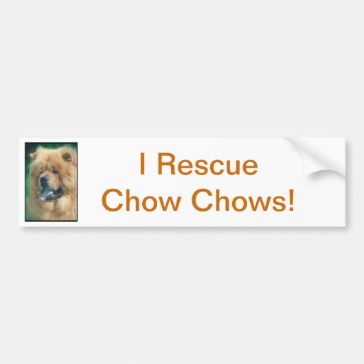 Chow Chow Bumpersticker (Voorkant)