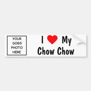 Chow Chow Bumpersticker
