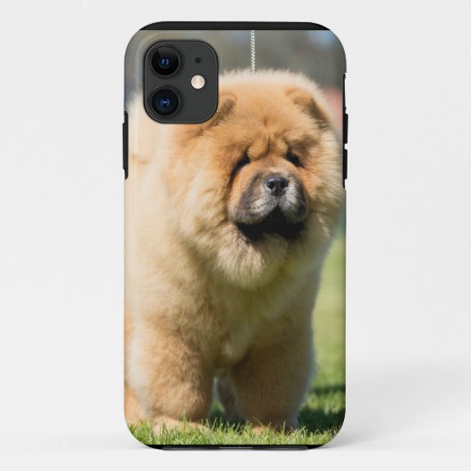 Chow chow Case-Mate iPhone case (Achterkant)