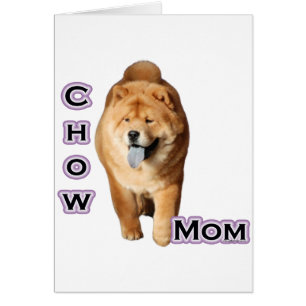 Chow Chow Chow Moeder 4