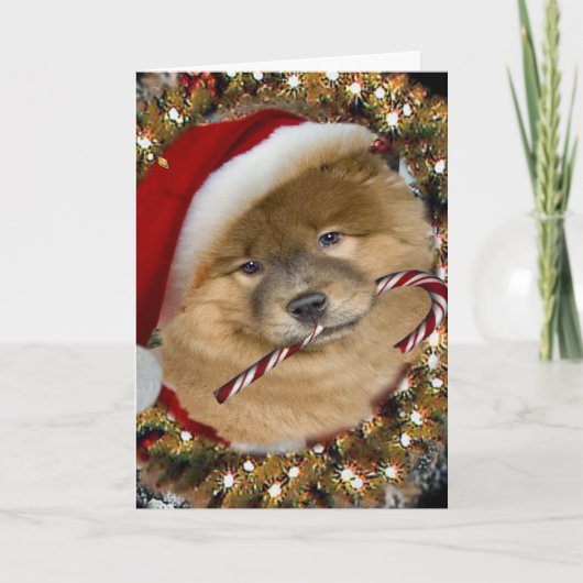 Chow Chow Christmas Candy Cane Kaarten (Voorkant)