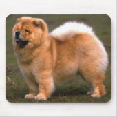 Chow Chow Dog Muismat (Voorkant)