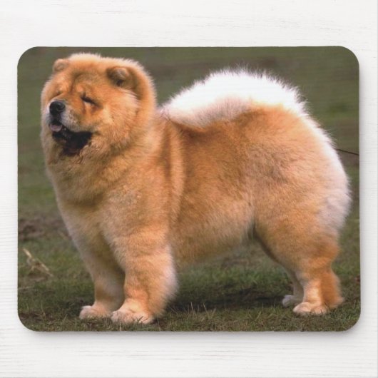Chow Chow Dog Muismat (Voorkant)