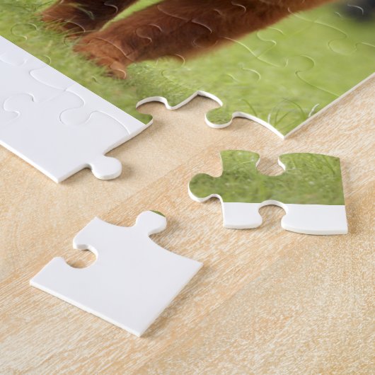 Chow Chow Dog Poses Legpuzzel (Zijkant)