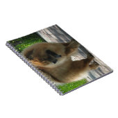 chow chow full.png notitieboek (Rechterzijde)