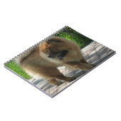 chow chow full.png notitieboek (Linkerzijde)