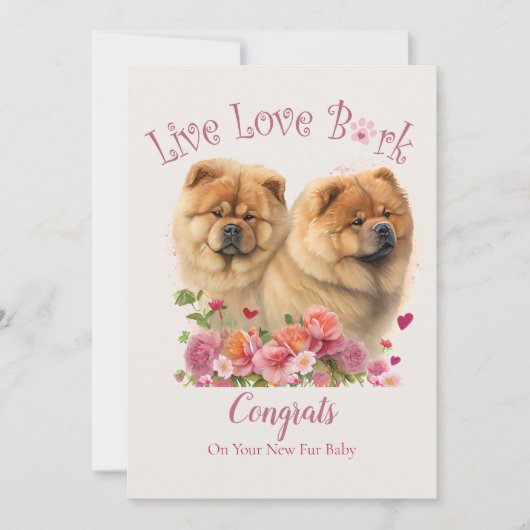 Chow Chow hondenadoptie, Gotcha-dag Kaart (Voorkant)