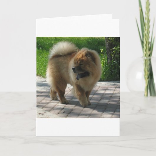 chow-chow hoogtepunt kaart (Voorkant)