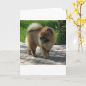 chow-chow hoogtepunt kaart (Gele Bloem)