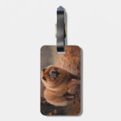 Chow Chow in Autumn Leaves Herfst Inspire Bagagelabel