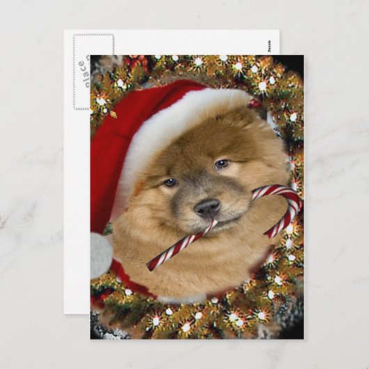 Chow Chow kerstsnoepgeschenken Feestdagenkaart (Voorkant / Achterkant)
