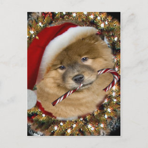 Chow Chow kerstsnoepgeschenken Feestdagenkaart