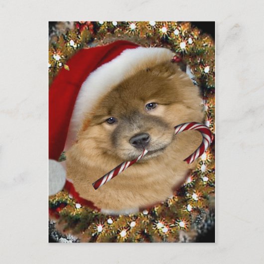 Chow Chow kerstsnoepgeschenken Feestdagenkaart (Voorkant)