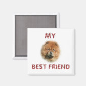 CHOW CHOW MAGNEET (Voorkant / Achterkant)