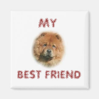 CHOW CHOW MAGNEET