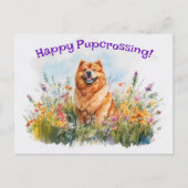 Chow Chow Postcrossing - Briefkaart (Voorkant)
