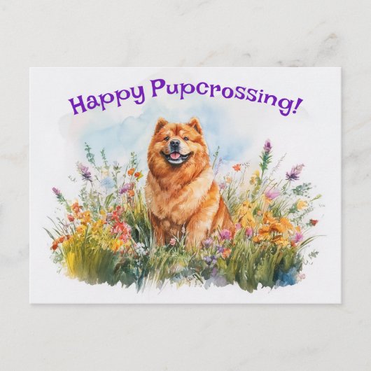 Chow Chow Postcrossing - Briefkaart (Voorkant)