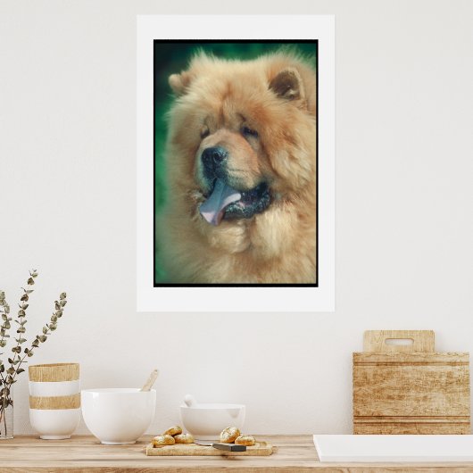 Chow Chow Poster (Keuken)