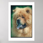 Chow Chow Poster (Voorkant)