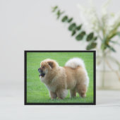 Chow Chow Puppy Dog Blank Greeting Post Kaart (Staand voorkant)