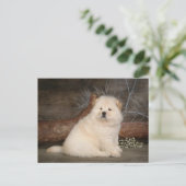 Chow Chow Puppy Dog Blank Greeting Post Kaart (Staand voorkant)