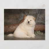 Chow Chow Puppy Dog Blank Greeting Post Kaart (Voorkant)