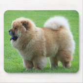 Chow Chow Puppy Dog Green Grass Mousepad Muismat (Voorkant)