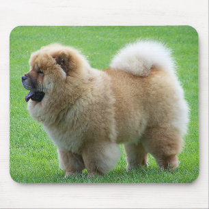 Chow Chow Puppy Dog Green Grass Mousepad Muismat