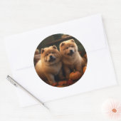 Chow Chow Puppy Herfst Delight Pompoen Ronde Sticker (Envelop)