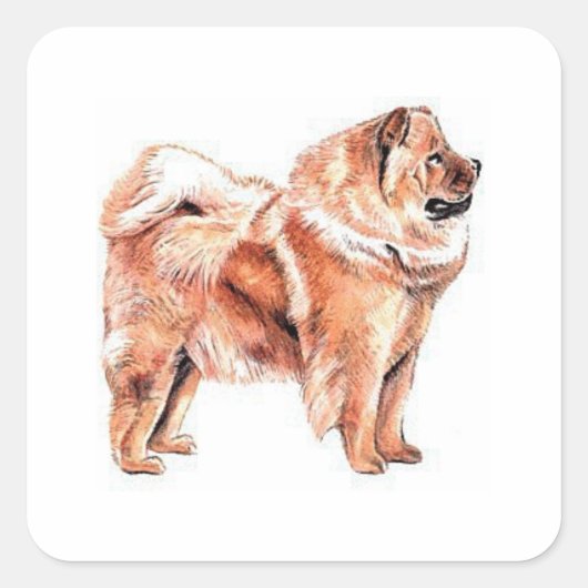 Chow Chow Red Vierkante Sticker (Voorkant)