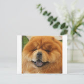 Chow Chow Rescue Briefkaart (Staand voorkant)