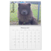 Chow Chow Rescue Calendar Kalender (Feb 2027)
