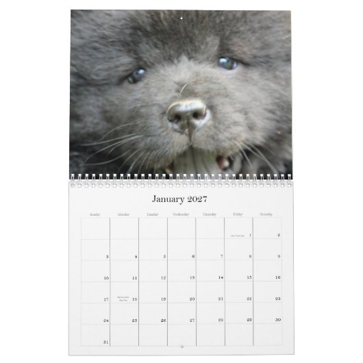 Chow Chow Rescue Calendar Kalender (Jan 2027)