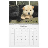 Chow Chow Rescue Calendar Kalender (Mar 2026)