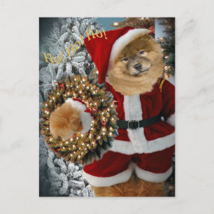 Chow Chow Santa Paws Feestdagenkaart