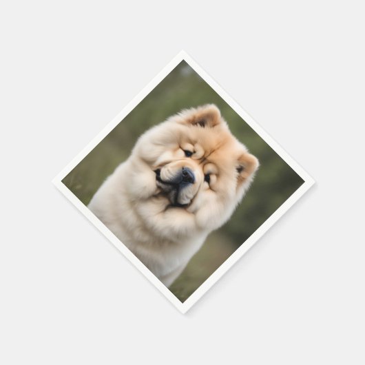 Chow Chow Servet (Hoek)