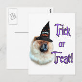 Chow Chow Trick Briefkaart (Voorkant / Achterkant)