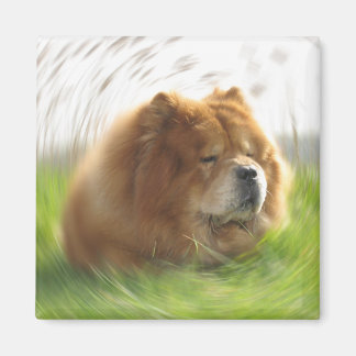Chow-Chow Urlaub Magneet