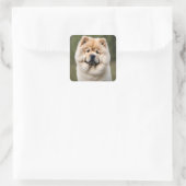 Chow Chow Vierkante Sticker (Tas)