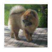 chow-chow vol tegeltje (Voorkant)