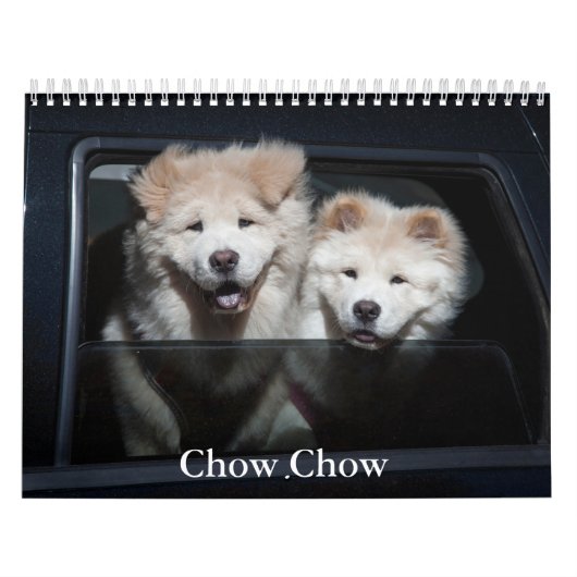 Chow Dog Kalender (Hoes)