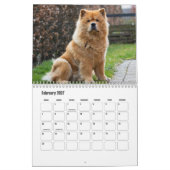 Chow Dog Kalender (Feb 2027)