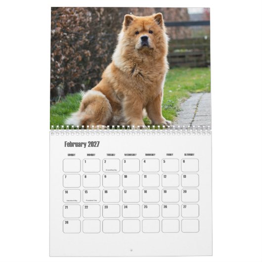 Chow Dog Kalender (Feb 2027)