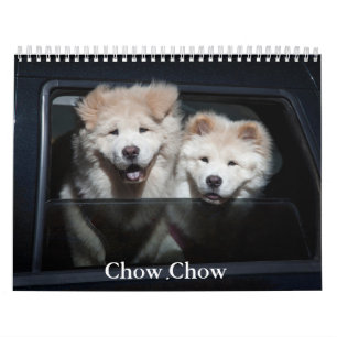 Chow Dog Kalender