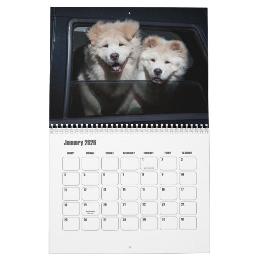 Chow Dog Kalender (Jan 2026)
