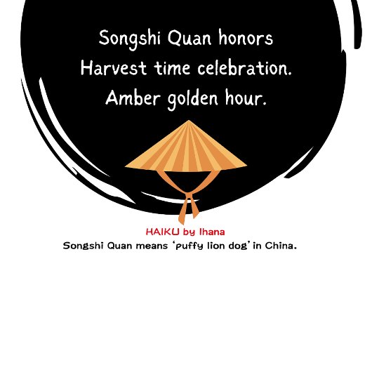 CHOW KUSSEN HOESJES - dekbedovertrek apart verkrij Kussensloop